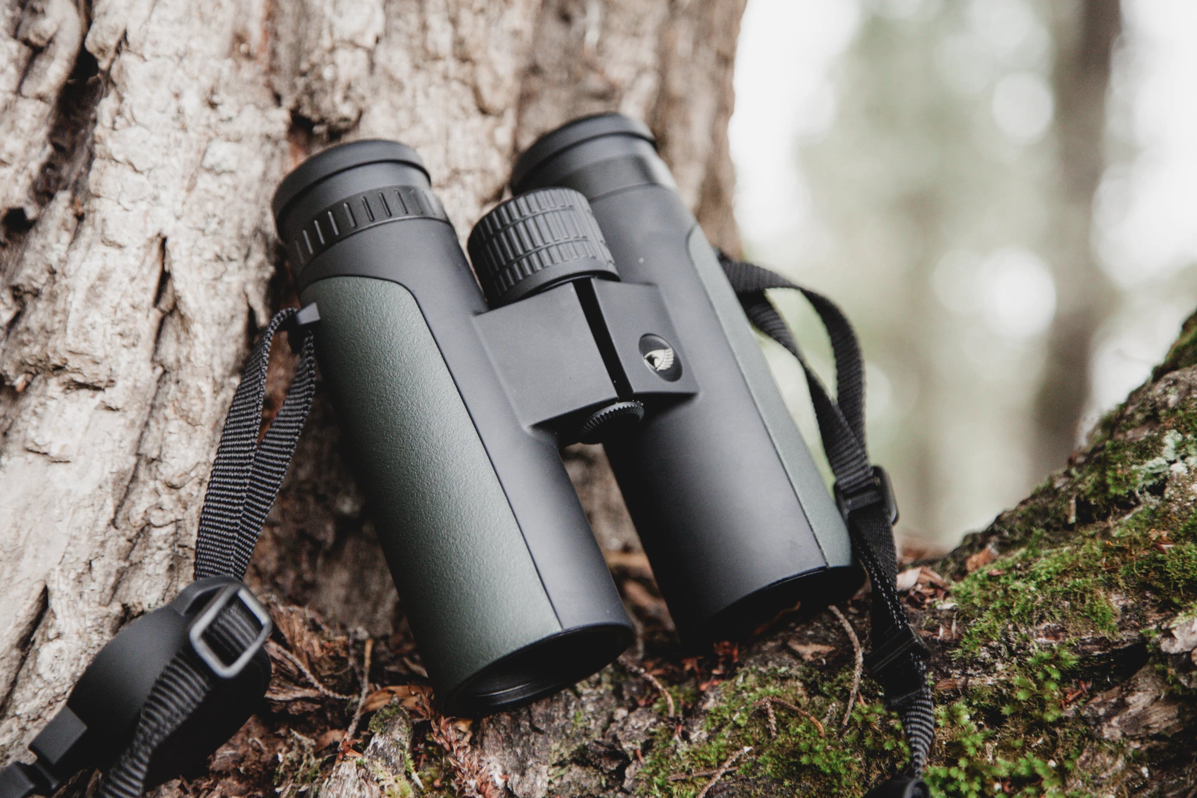 Binoculars, nature