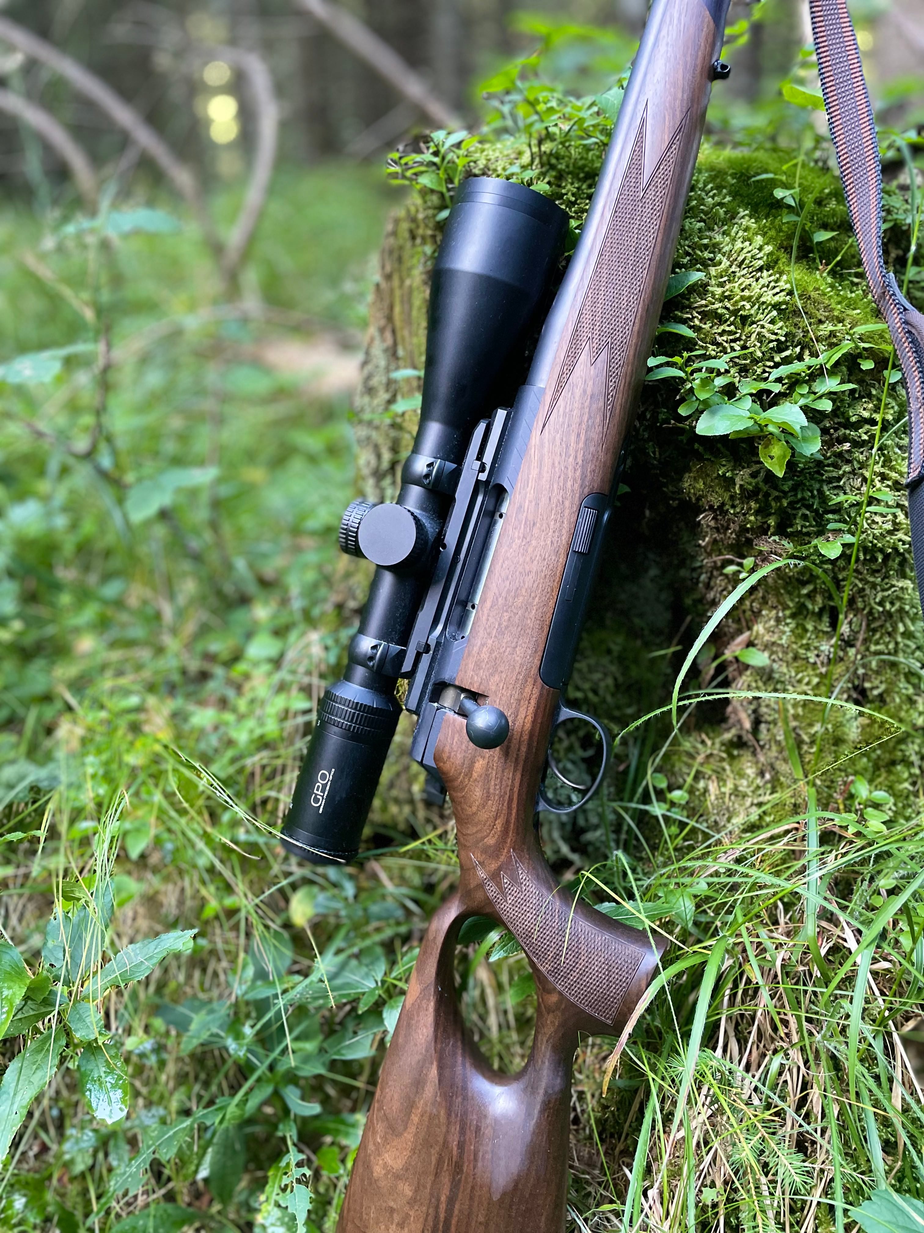 Riflescope on hunting rifle, nature