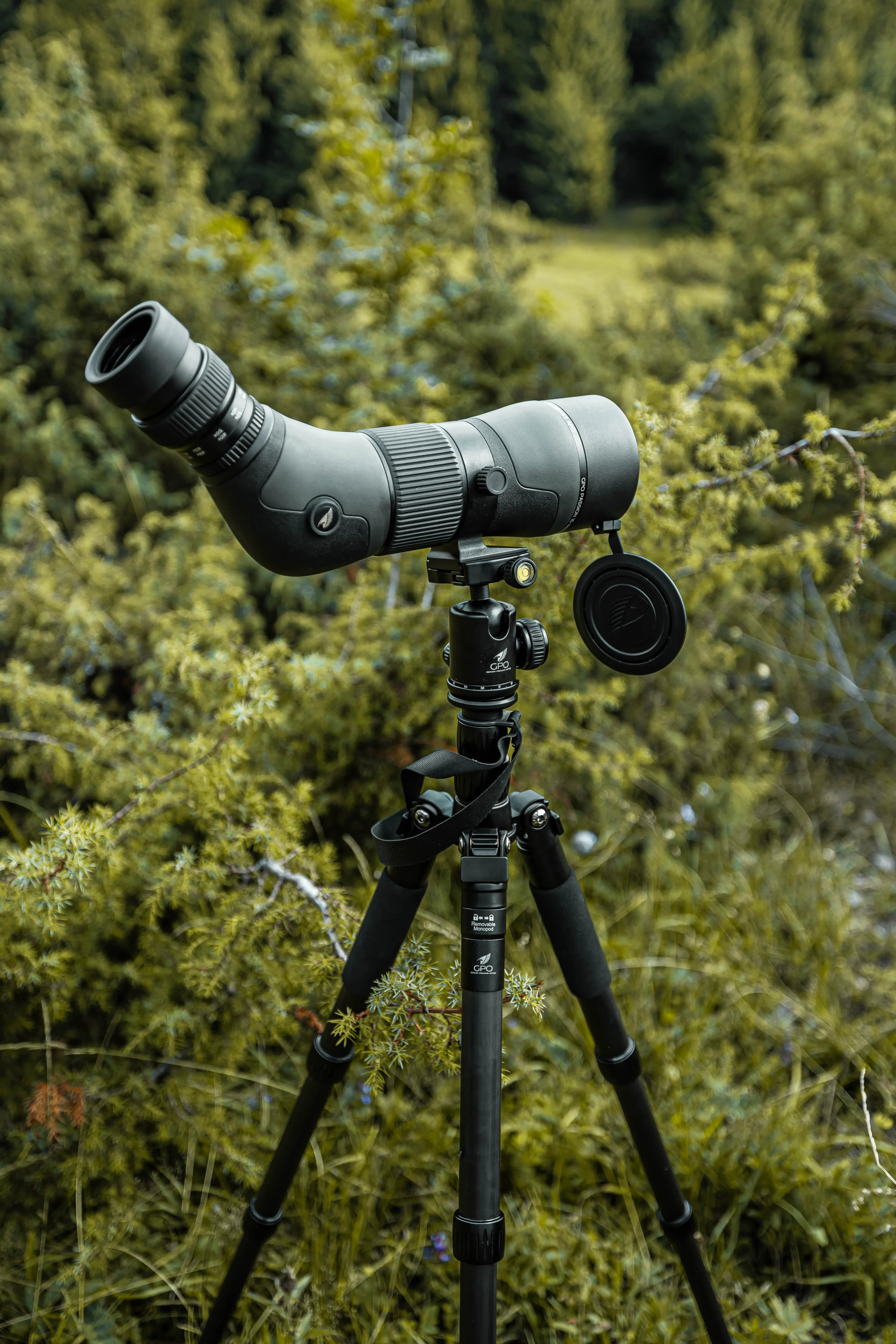 Spotting scope, Nature, Tripod